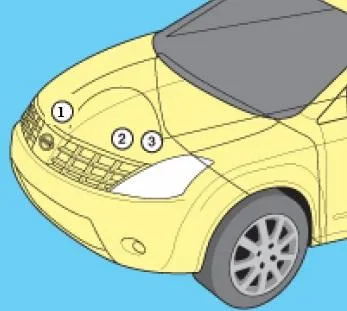 schema amplasării cutiei sub capotă z50