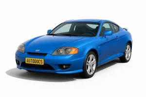 Hyundai Tiburon Coupe сақтандырғыштары мен релелері