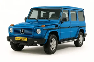 Mercedes 463 Gelandewagen siguranțe și relee