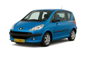 Peugeot 1007 сақтандырғыштары