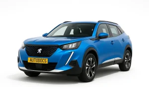 Peugeot 2008 (2019 – 2024) сақтандырғыштары